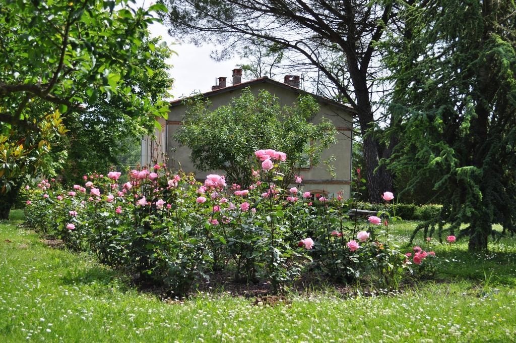 몽토방 Domaine De Belcayre B&B 외부 사진