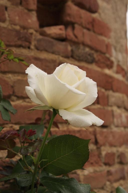 몽토방 Domaine De Belcayre B&B 외부 사진